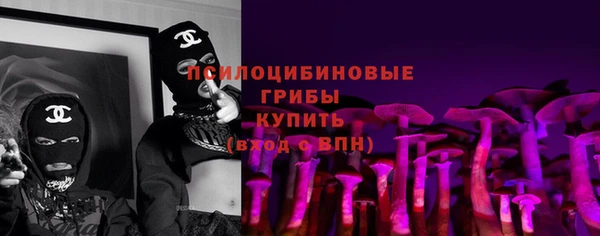 гидра Алексин