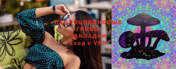 соль курить ск Алзамай